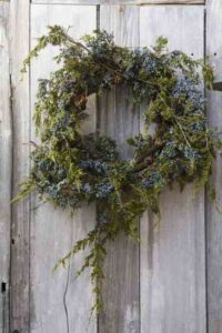 Juniper Berry Wreath